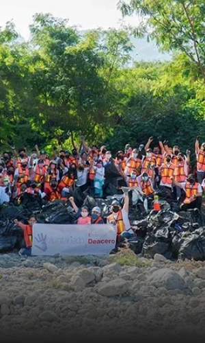 Personas limpiando un bosque