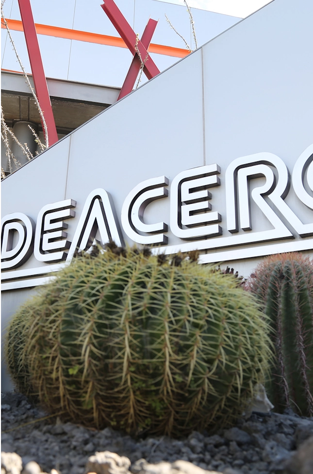 Imagen de corporativo de DEACERO con cactus