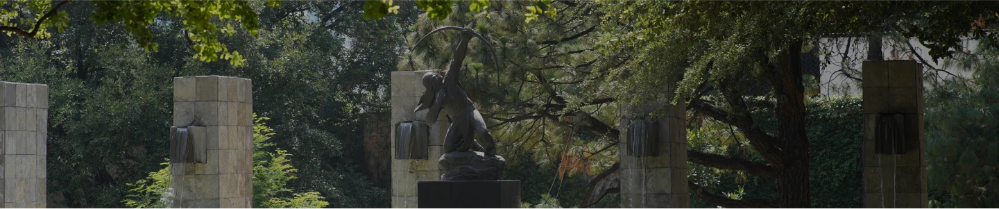Persona agarrando una planta
