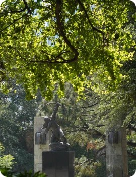 Persona agarrando una planta