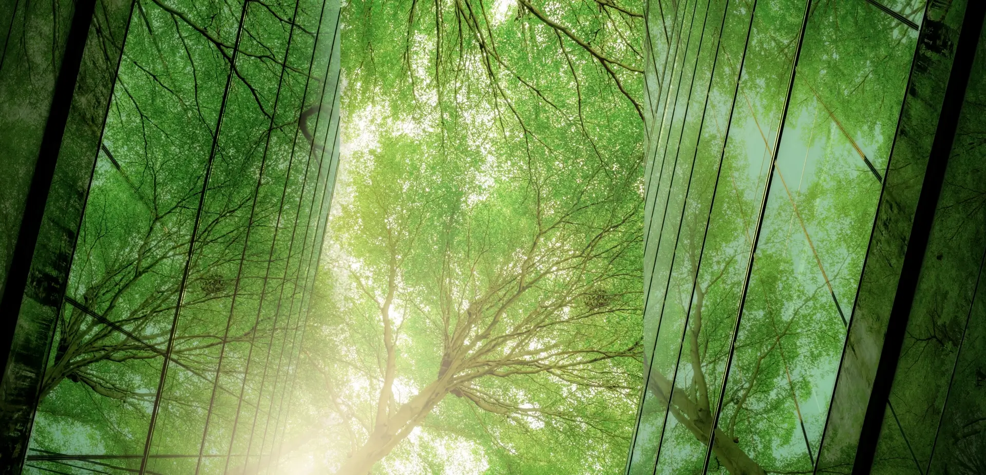 DEACERO CRU acero verde fondo