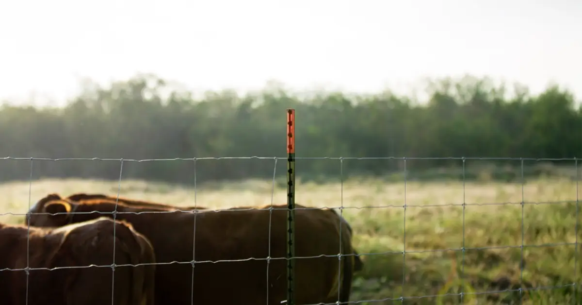 DEACERO campo mexicano