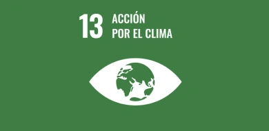 Imagen de Objetivo 13