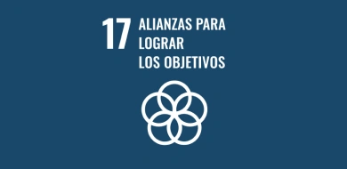 Imagen de Objetivo 17