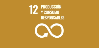 Imagen de Objetivo 12