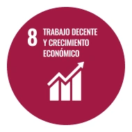 Imagen de Objetivo 8