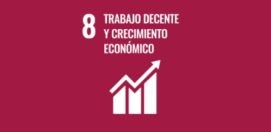 Imagen de Objetivo 8